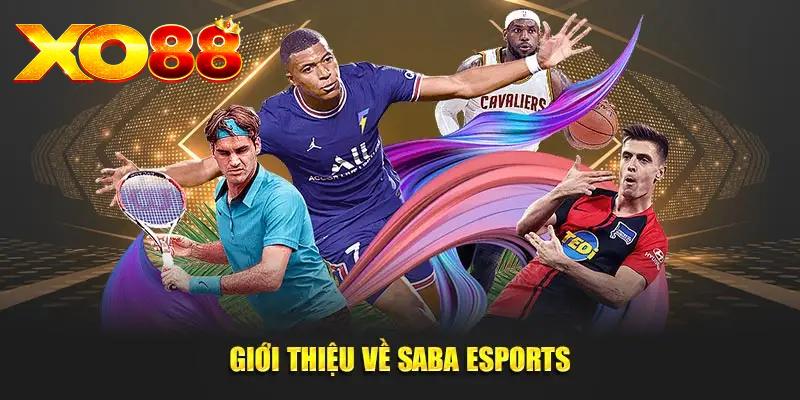 SABA Esport - Bí Quyết Chiến Thắng Trong Thể Thao Điện Tử